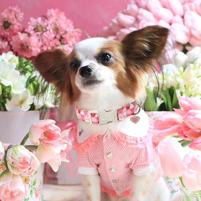 Valentines Dog Collar for Small Dogs - Image 2