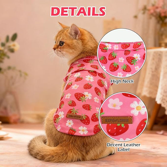 EXPAWLORER Soft Cat Sweater - Image 2