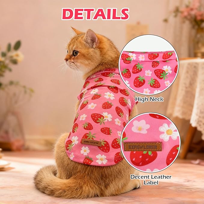 EXPAWLORER Soft Cat Sweater - Image 2