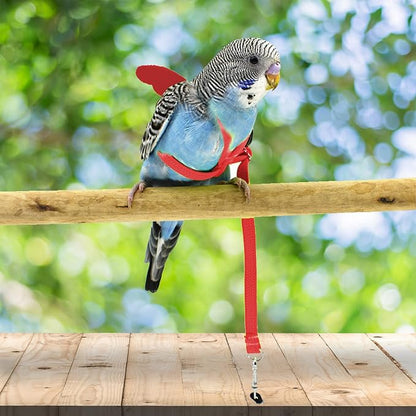 Dnoifne Pet Parrot Bird Harness and Leash, Adjustable Training Design Anti-Bite - Image 2