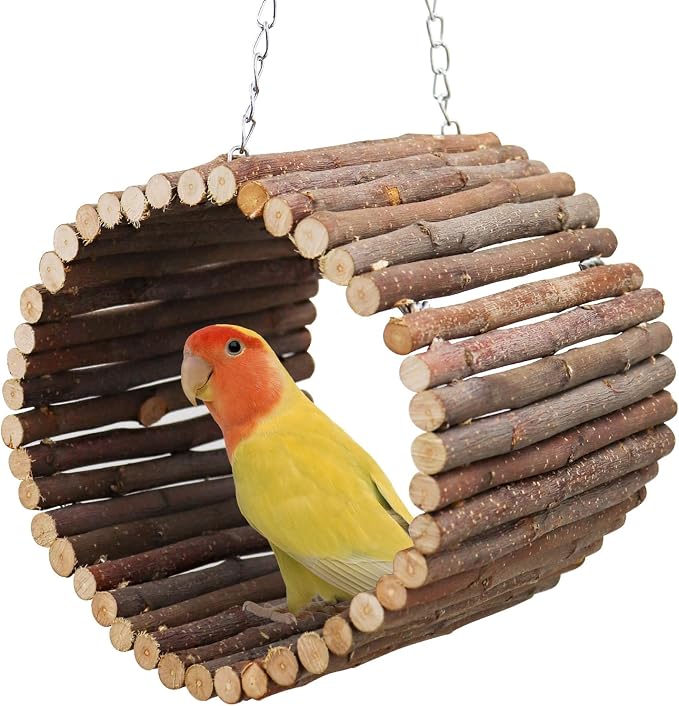 Bird Parrot Swing Toys, Hanging Bird Tree Caves, Natural Apple Wood Parrot by Oooct