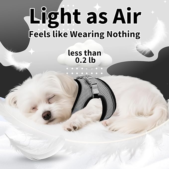 AIITLE Dog Harness, No-Pull Cat Harness - Image 8