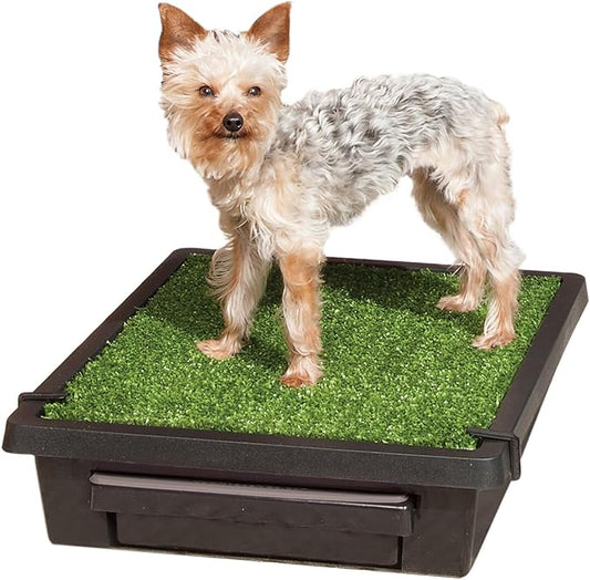 PetSafe Pet Loo Portable Dog Potty by PetSafe