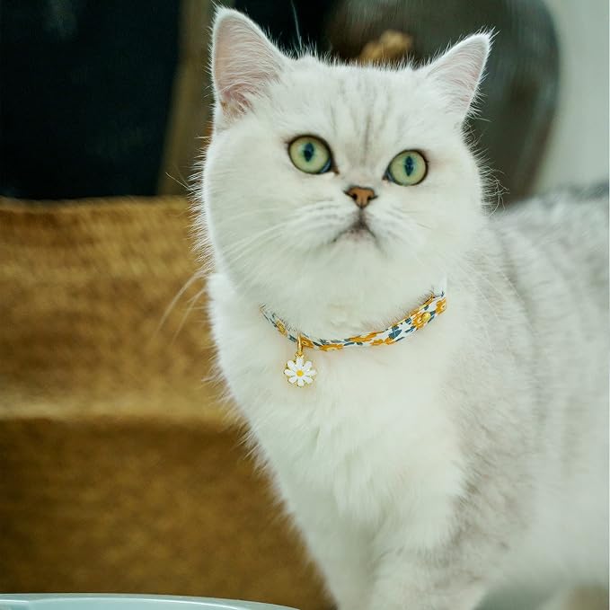 2 Pack Cotton Breakaway Cat Collars - Image 6