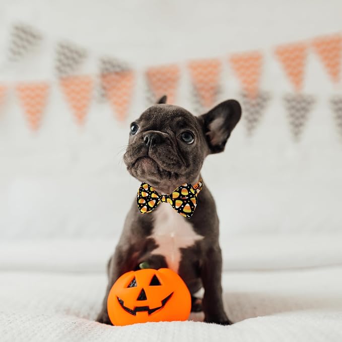 Halloween Dog Bow Tie Collar, Holiday Candy Corn Collar - Image 6