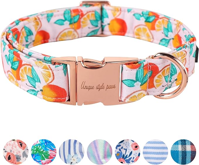 Unique style paws Dog Collar Metal Buckle Orange Collar Gift Durable Cute Collar by Uniquestylepaws