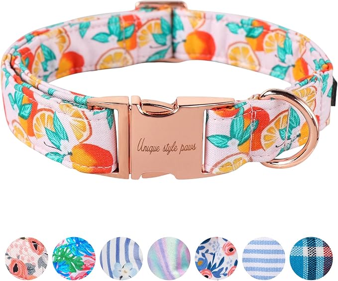 Unique style paws Dog Collar Metal Buckle Gift by Uniquestylepaws