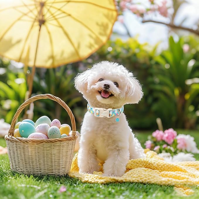 Easter Dog Collar for Puppy Small Dogs - Image 5