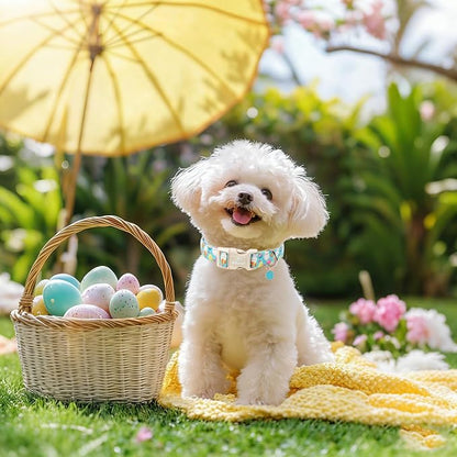 Easter Dog Collar for Medium Dogs - Image 5