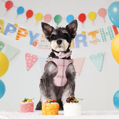 Beirui Cute Small Dog Harness Collar and Leash Set - Image 3