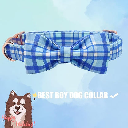 Elegant little tail Dog Collar - Image 3