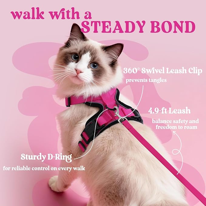 rabbitgoo Cat Harness and Leash - Image 5