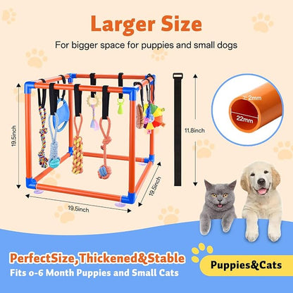 Puppy Play Gym for Small Dogs - Image 2