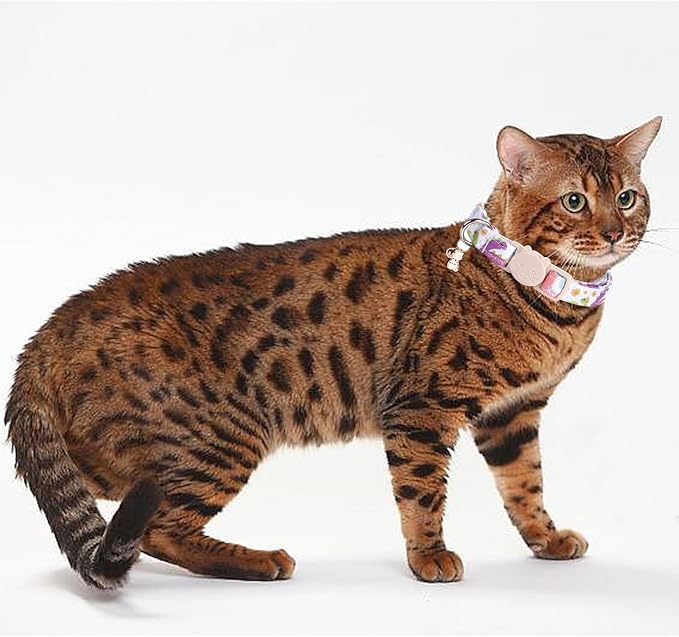 Elegant little tail 2 Pack Cat Collar-Dinosaur & Shark Cotton Breakaway Cat - Image 6