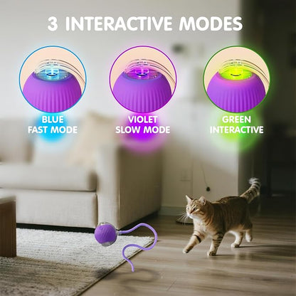 Rocfish Durable Interactive Cat Toys - Image 4