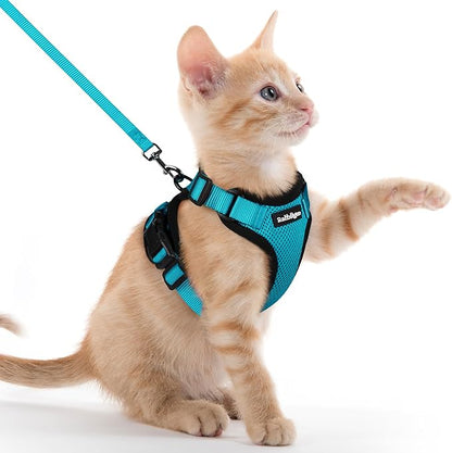 rabbitgoo Cat Harness and Leash by rabbitgoo
