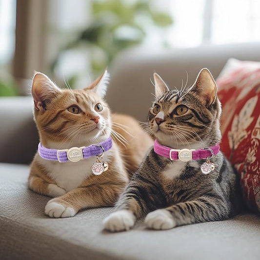 2 Pack Corduroy Cat Collars - Image 2