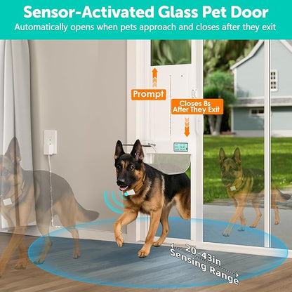 Automatic Sliding Glass Dog Door - Image 2