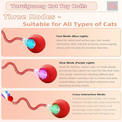 New Upgraded Cat Ball Toy - Image 2