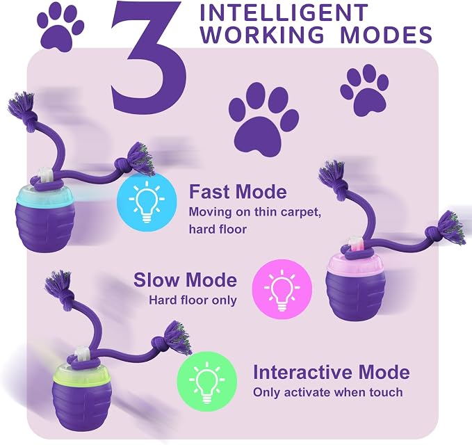 Interactive Dog Toy, Motion Activated Rolling Squeaky Ball - Image 3