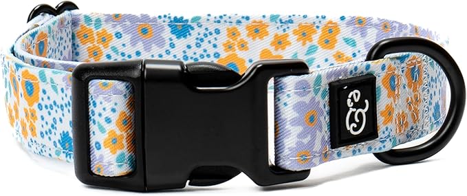 Lucy & Co. Among The Wildflowers Dog Collar by LucyCo