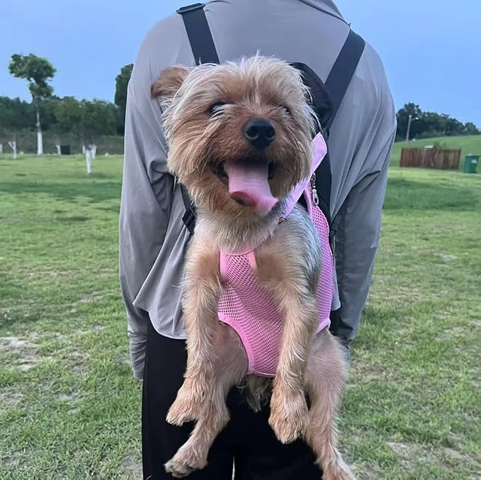 Leconpet Pet Carrier Backpack, Legs Out Adjustable Pet Front Cat Dog Carrier - Image 3