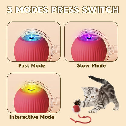 Chewie Viral 360 Smart Automatic Rolling Pet Ball - Image 3