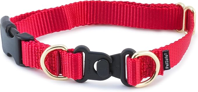 PetSafe KeepSafe Collar for Dogs by PetSafe