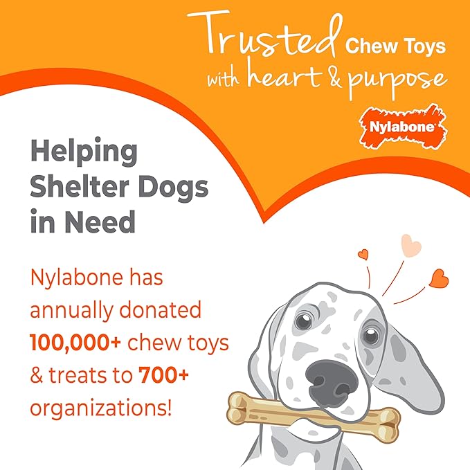 Nylabone Puppy Chew Key Ring Toy, Toys - Image 10