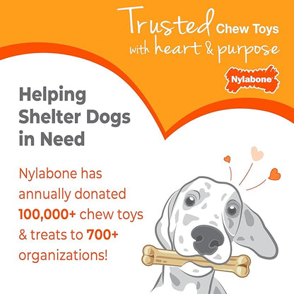 Nylabone Puppy Chew Key Ring Toy, Toys - Image 10