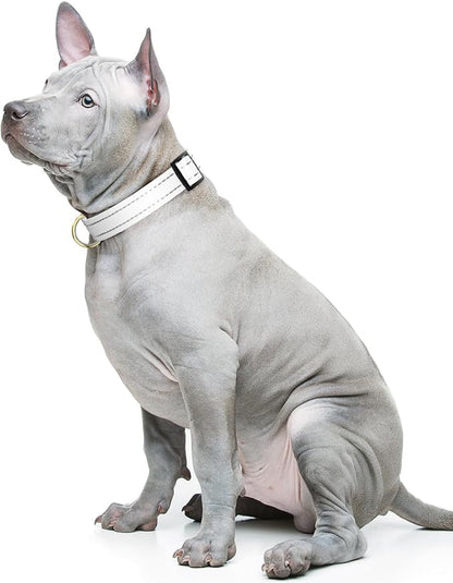 Reflective Dog Collar for Medium Dogs, Cute Adjustable Heavy-Duty Nylon Puppy - Image 2