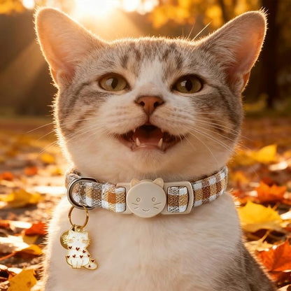 Elegant little tail 2 Pack Cat Collar- Fall Cat Collars Breakaway - Image 4