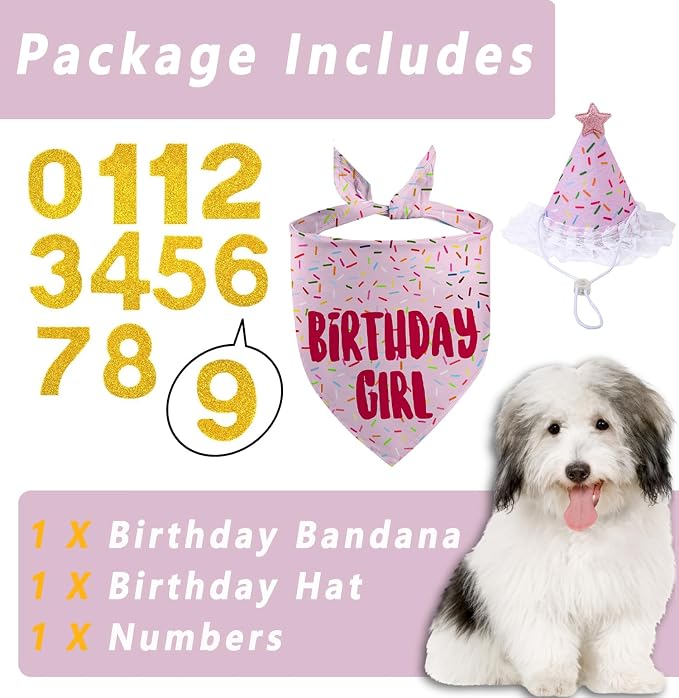Dog Birthday Bandana Set, Light Pink Birthday Girl Decorations, HBD Party - Image 2