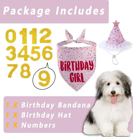 Dog Birthday Bandana Set, Light Pink Birthday Girl Decorations, HBD Party - Image 2