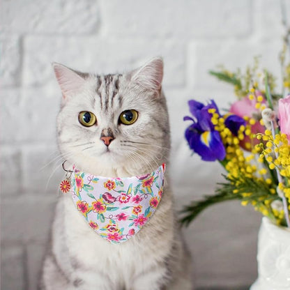 SCENEREAL Spring Cat Collar Breakaway - Image 8