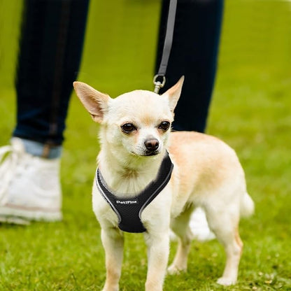 PetiFine Step in Small Dog Harness and Leash Set, Breathable All Weather Air - Image 8