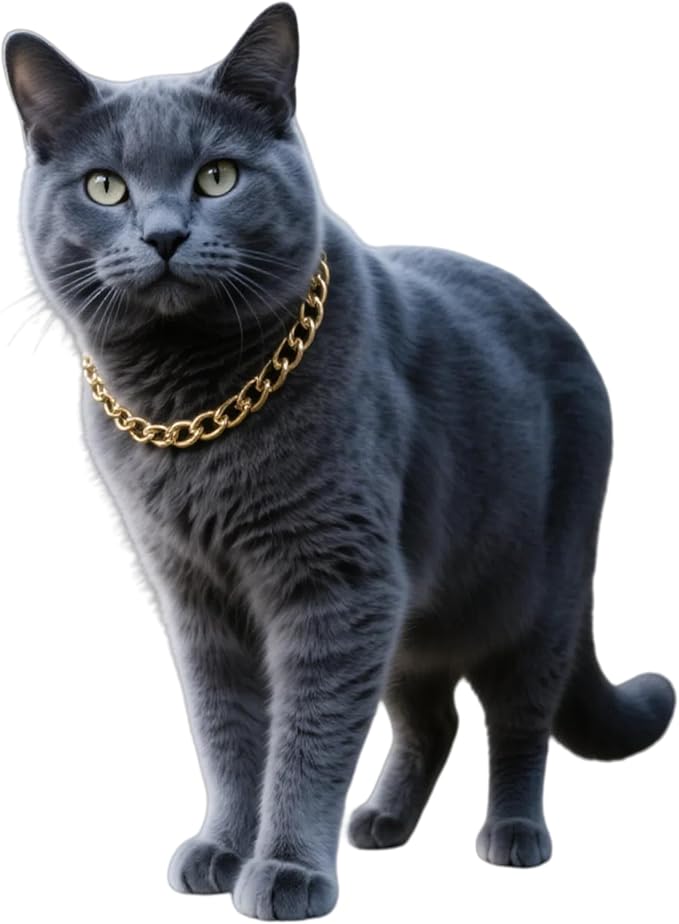 Gold Cat Chain Collar, Adjustable Cuban Link Necklace by CWYZA