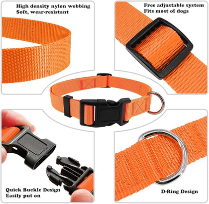 Dog Collar Orange Basic Adjustable Dog Collars - Image 3