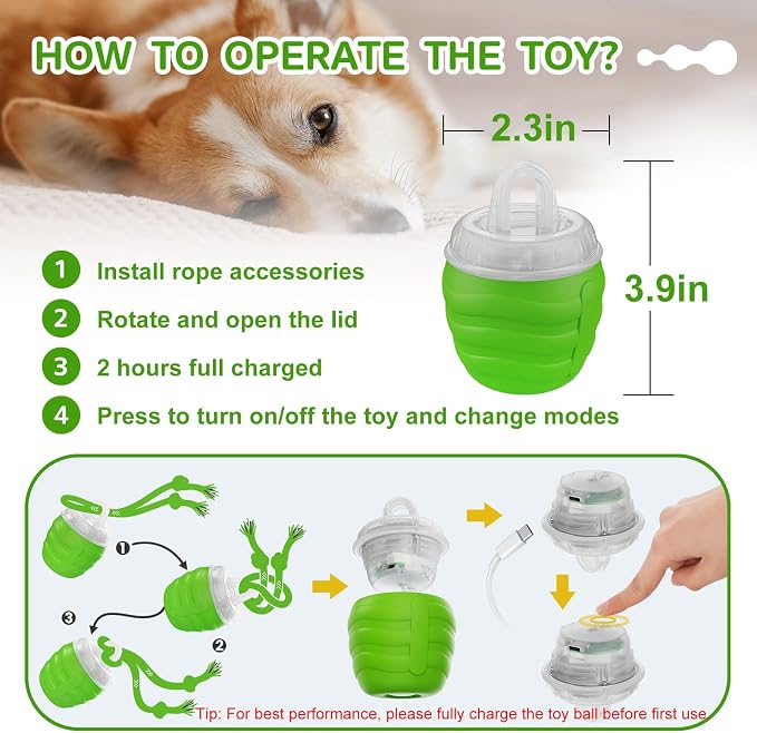 Interactive Dog Toy, Motion Activated Rolling Squeaky Ball - Image 5