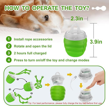Interactive Dog Toy, Motion Activated Rolling Squeaky Ball - Image 5