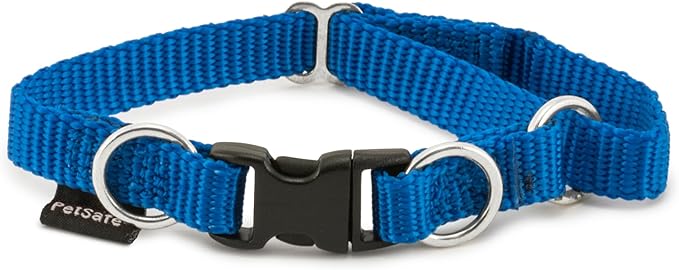 PetSafe KeepSafe Collar for Dogs by PetSafe