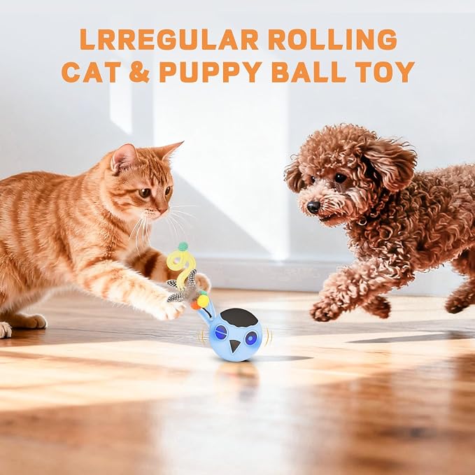 Cat Toys, Interactive Cat Toys for Indoor Cats, USB Rechargeable Electronic - Image 7