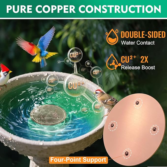 1 Pcs Copper Disc for Bird Bath | 99.99% Pure Copper Plate & Birdbath Disk | - Image 4