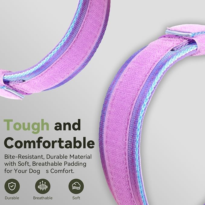 2026 Upgrade Waterproof AirTag Dog Collar, Military Tactical Dog Collar - Image 5