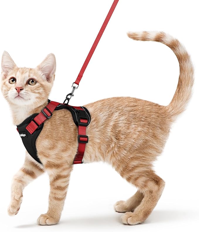 rabbitgoo Cat Harness and Leash by rabbitgoo