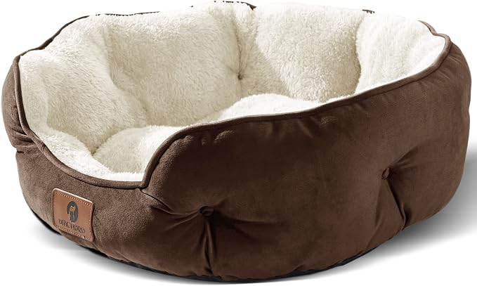 Asvin Medium Dog Bed for Medium Dogs, Cat Beds for Indoor Cats, Pet Bed for by Asvin