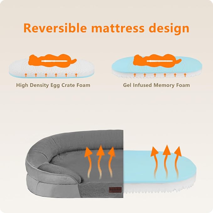 Dwanton Orthopedic Dog Bed for Medium Dogs - Image 3