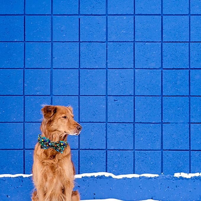 Elegant little tail Dog Collar, Boy Pet Collrs Blue Durable Soft Bowtie Dog - Image 6