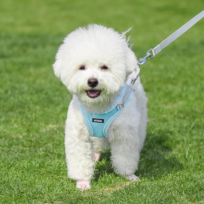 AIITLE Small Harness for Puppy - Image 4
