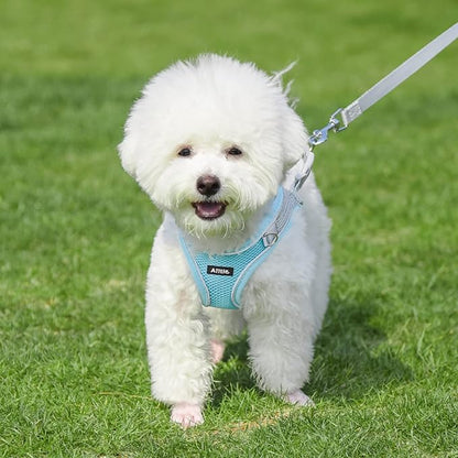 AIITLE No Pull Dog Harness and Leash Set, Step in Adjustable Dog Harness - Image 9